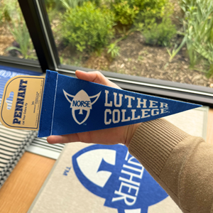 EMBLEMATIC MINI PENNANT