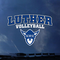 Decal - Volleyball