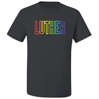 Pride Colors Tee