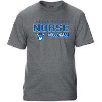 Volleyball Tee