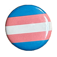 Transgender Pride Flag Pin