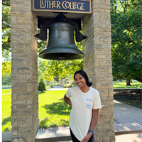 *COLLAB* PULPIT ROCK X LUTHER COLLEGE TEE
