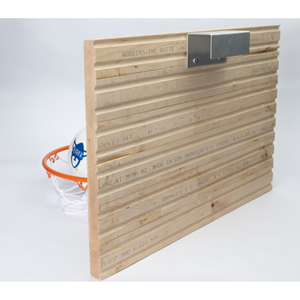 REGENTS GYM BACKBOARD